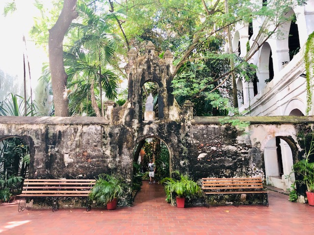 things to do in cartagena, what to do in cartagena, cartagena turismo, tripadvisor cartagena, things to do in Cartagena, colombia, peter claver, saint peter claver, saint peter claver sanctuary, old wall with trees behind it