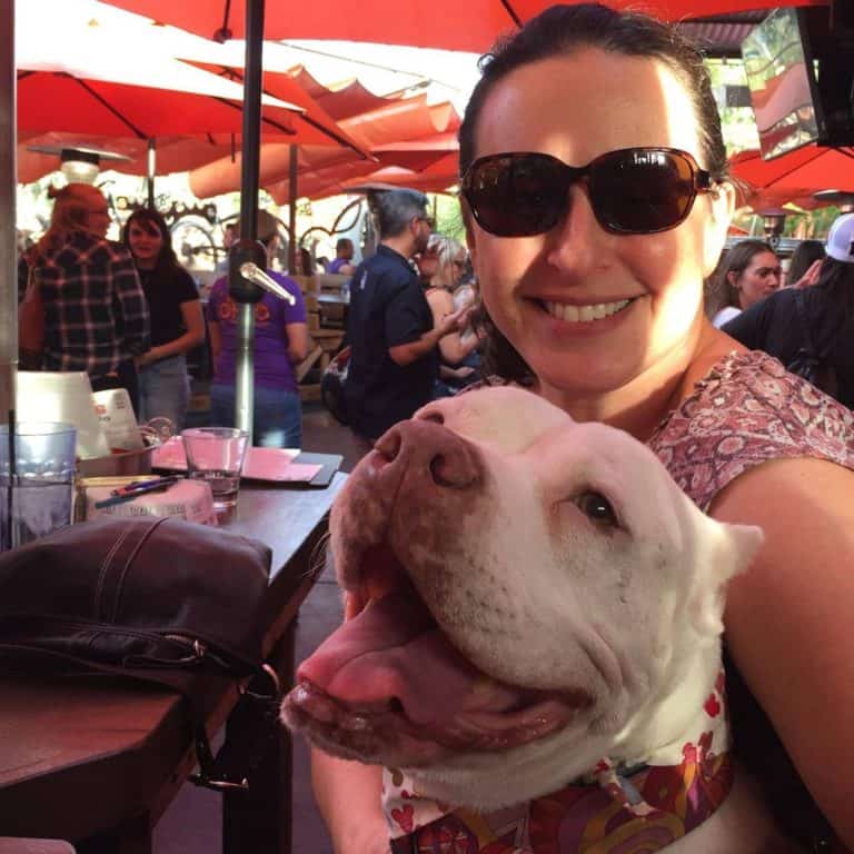 Dining with Your Pet in a Dog-Friendly Restaurant