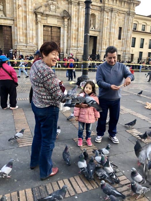 woman, man, and girl feeding pigeons, what you need to know about colombia, colombia tourist attractions