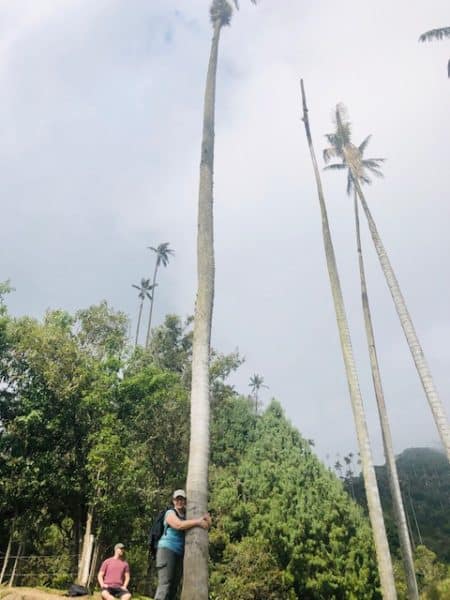 things to do in salento, salento colombia, cocora valley, valle de cocora, woman hugging a palm tree