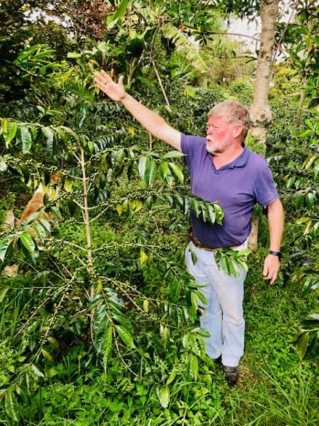 colombian coffee, colombia coffee, salento colombia, things to do in salento, man pointing to a coffee plant