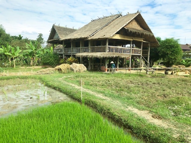 things to do in Luang Prabang, what to do in luang prabang, luang prabang province, unesco world heritage, living land, straw hut in front of a rice paddy