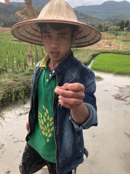 things to do in luang prabang, living land, young man holding up a rice grass, woman with a straw hat with mud to her knees, me!