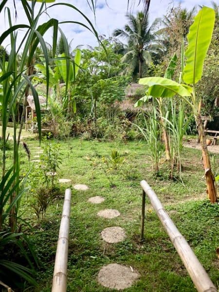things to do in luang prabang, living land, tropical farm