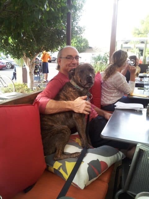 dog friendly restaurant, dog, dogs, dining with dogs, eating with dogs, restaurant with dogs, restaurant with dog