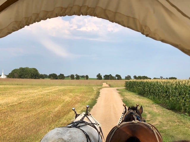 Little House Carriage, horse-drawn carriage, horse carriage, little house homestead, Little House, Little house on the prairie, laura ingalls Wilder, Laura ingalls, De Smet, south dakota