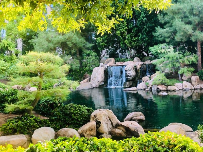 what to do in phoenix, phoenix attractions, phoenix fun, fun in phoenix, things to do around phoenix, phoenix arizona attractions, places to go in phoenix, phoenix sightseeing, japanese friendships garden, phoenix japanese friendship garden