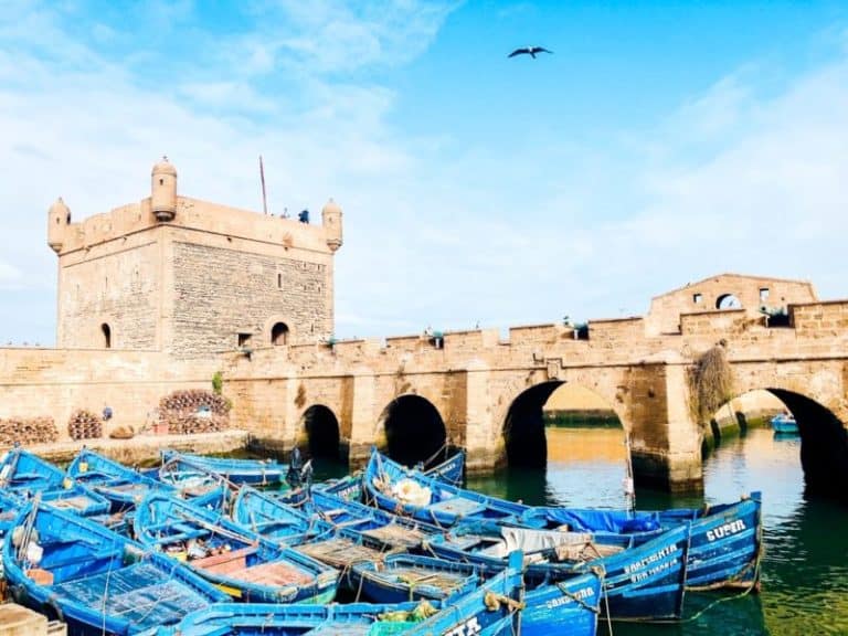 The Windy City: Top 9 Things to do in Essaouira