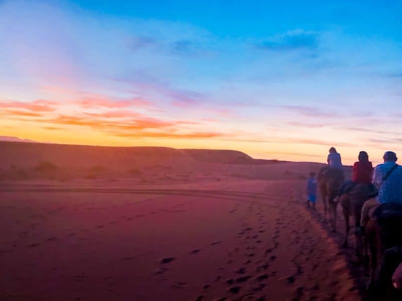 morocco desert tours, merzouga desert, dunes de merzouga, merzouga dunes, merzouga sand dunes, excursion merzouga, sahara merzouga, merzouga excursion, sahara sand dunes, camel ride, camel trek, dromedary