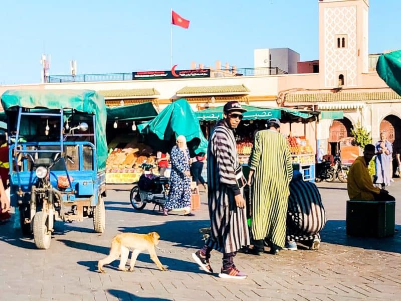 things to do in marrakech, what to do in marrakech, marrakech tours, marrakech activities, what to see in marrakech, tours from marrakech, where to stay in marrakech, top things to do in marrakech, marrakech sightseeing, marrakech resturant, marrakech airport, best restaurants in marrakech, visit marrakech, places to see in marrakech, best places to see in marrakech, jemaa el-fnaa, jemaa elfnaa, jemaa el fnaa, jemaa el fna, unesco, unesco world heritage site, unesco world heritage