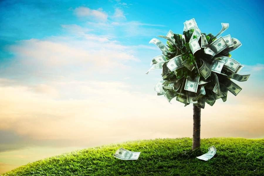 money tree, side hustle, side hustle benefits, side hustle ideas