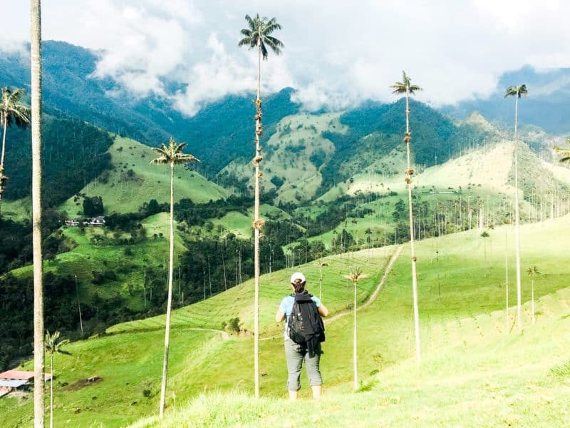 backpacker, backpacker trips, travel with backpack, cocora valley, colombia, backpacker among wax palms, wax palms, coffee triange, eje cafetero, colombia travel, travel styles