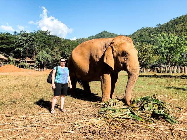 me and an elephant, elephant, elephant eating, elephant sanctuary, elephant nature park, elephant sanctuaries, elephant sanctuary thailand, elephant sanctuary chiang mai, chiang mai elephant sanctuary, elephant sanctuary, thailand elephant sanctuary, thailand animal sanctuary