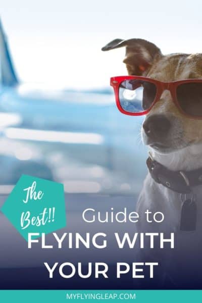 flying with pets, pet transport, flying with a dog