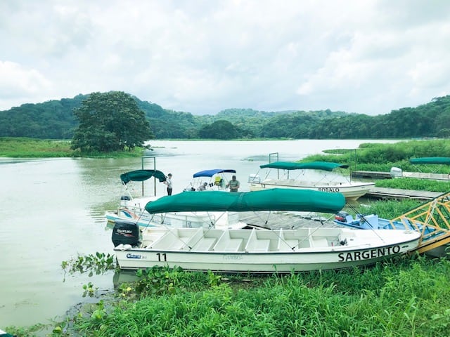 gatun lake, panama city, panama, panama canal