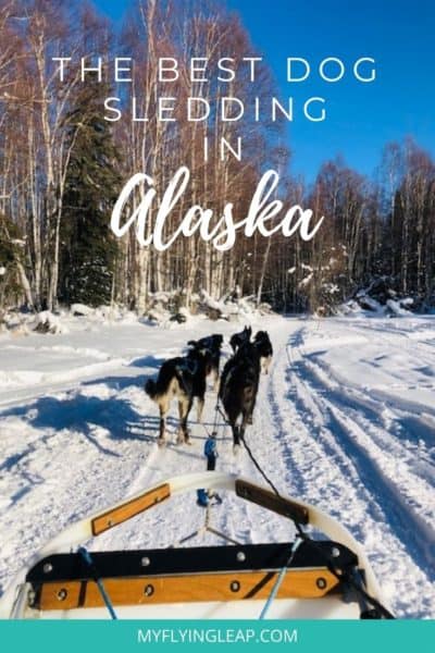 dog mushing, dog sledding alaska, dog sledding trips, fairbanks, fairbanks alaska