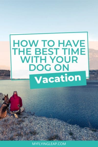 dog on vacation, pet travel, dog on a trip, dog and human by the water