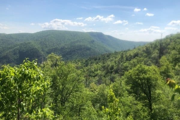 best hikes in the us, hardest hikes in the us, best places to hike in the us, best hiking, best hiking in the us, most beautiful hikes in the us, best hiking trails, best hiking in the usa, best hiking places in the usa, best hiking trails in nc, babel tower trail, linville gorge wilderness