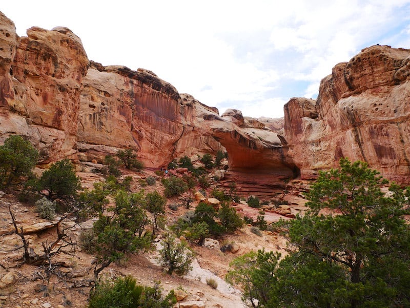 best hikes in the us, hardest hikes in the us, best places to hike in the us, best hiking, best hiking in the us, most beautiful hikes in the us, best hiking trails, best hiking in the usa, best hiking places in the usa, capitol reef