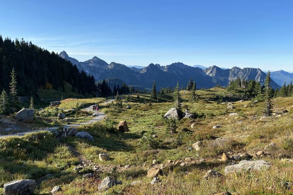 best hikes in the us, hardest hikes in the us, best places to hike in the us, best hiking, best hiking in the us, most beautiful hikes in the us, best hiking trails, best hiking in the usa, best hiking places in the usa, best hiking trails in washington, skyline trail, mount ranier national park