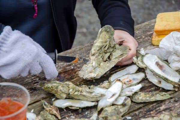 Oyster roast, things to do in charleston, best things to do charleston sc, fun things to do in charleston sc, activities in charleston sc, what to see in charleston sc
