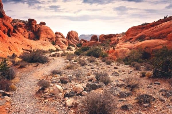 Red Rock Canyon hike, excursions from las vegas, places to visit near las vegas