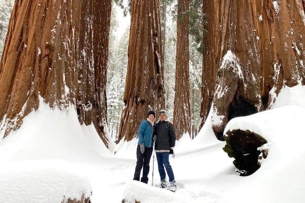 congress trail, sequoia national park, congress trail sequoia national park, best hikes in the us, hardest hikes in the us, best places to hike in the us, best hiking, best hiking in the us, most beautiful hikes in the us, best hiking trails, best hiking in the usa, best hiking places in the usa, best hiking trails in california