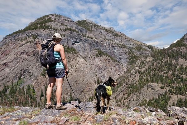 dog backpack, off leash dog hikes, large dog backpack, dog hiking boots, hiking harness dog, dog hiking gear, hiking dog carrier, hiking backpack dog carrier, best hiking dog harness, hiking dog leash