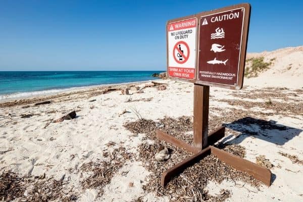 no lifeguard on durty sign in the sand, dry tortugas camping, dry tortugas beach 