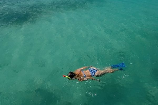 woman snorkeling in blue water, blue bathing suit, dry tortugas snorkeling, dry tortugas fishing, dry tortugas beach