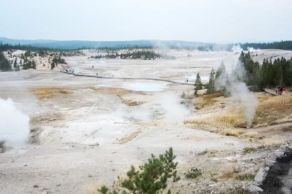 things to do in yellowstone, what to do in yellowstone, what to see at yellowstone, are dogs allowed in yellowstone, yellowstone itinerary, best time to visit yellowstone national park, how many days at yellowstone