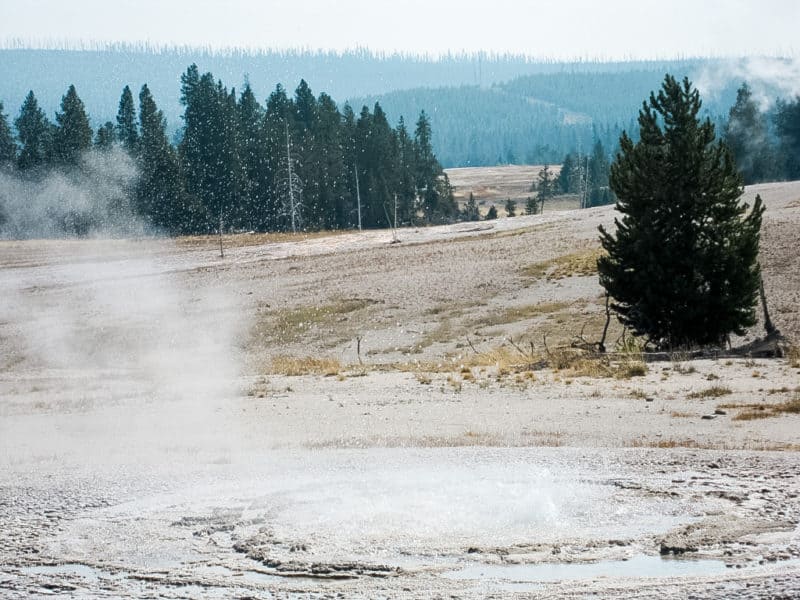 planning a trip to yellowstone, yellowstone itineraries, accommodations in yellowstone, backpacking in yellowstone, are dogs allowed in yellowstone, yellowstone itinerary,how many days to spend in yellowstone, how many days do you need in yellowstone