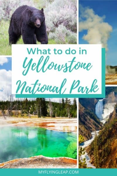 Yellowstone national park, black bear, geyser, hiking views