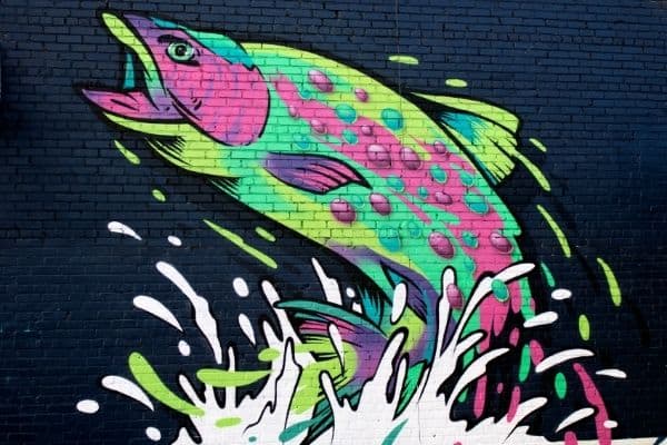 things to do in asheville, river art district