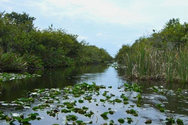 things to do in everglades national park, visiting the everglades, what to do in everglades national park, everglades national park camping, florida visiting places, best cities to live in florida, florida vacation spots, best vacation spots in florida,