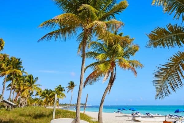 things to do in key west, fun things to do in key west, places to go in key west, best beach town in florida, best places to vacation florida, places in florida to visit, best snorkeling in florida, best places to stay in florida