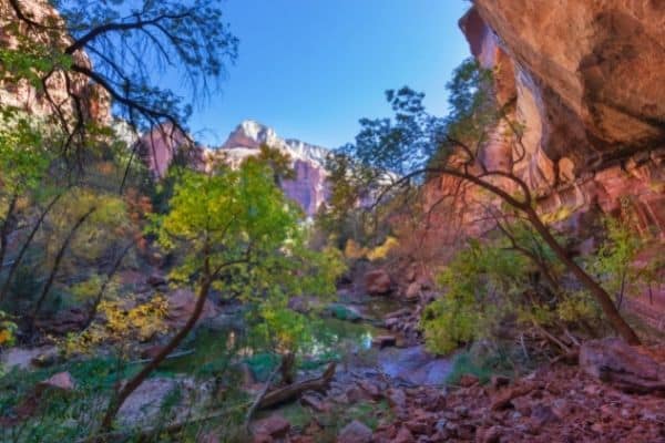 gorgeous scenery and red rock, emerald pools hike
