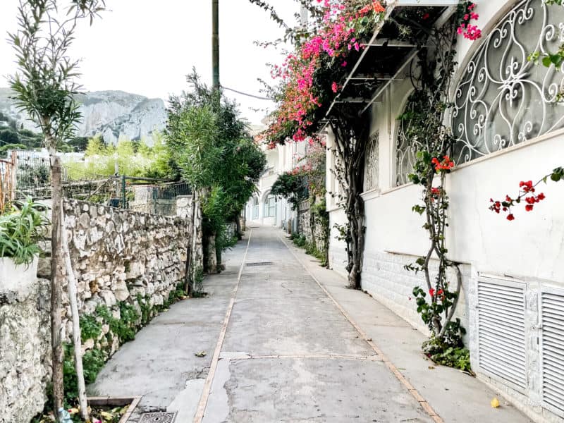 sidewalks in capri, pink flower trees