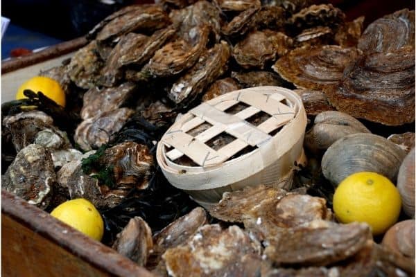 fresh oyster feast, best restaurants on amelia island, amelia island things to do