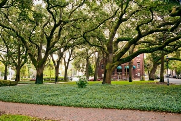 large oak trees in savannah, accommodation in savannah Georgia, haunted places in savannah ga, best places to stay in savannah ga