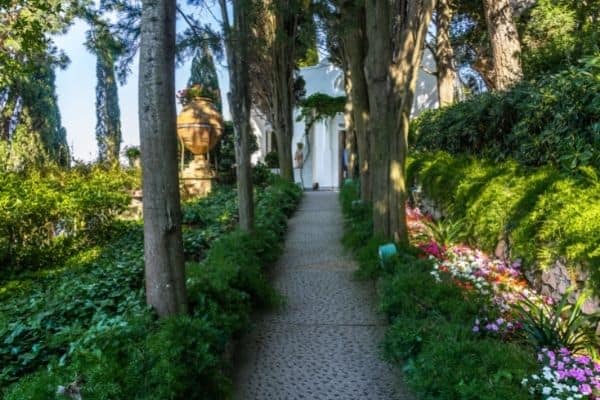 gardens of san michele, path going through san michele gardens, capri italy