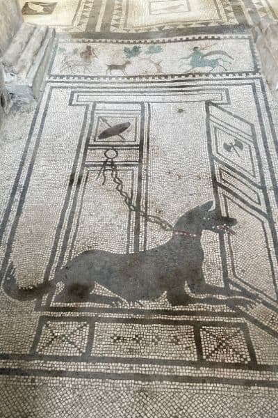 house of the tragic poet, visit pompeii