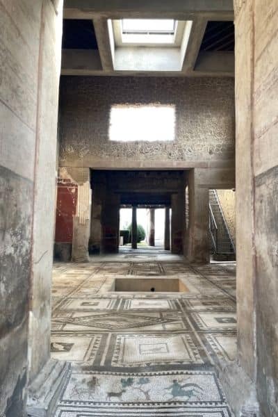 house of the tragic poet, pompeii museum