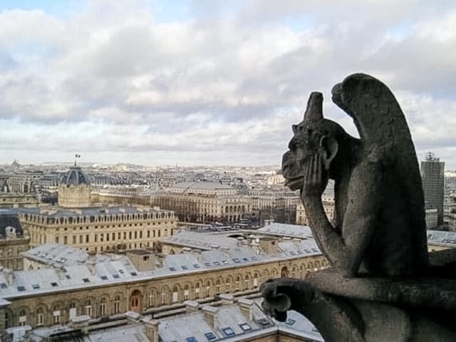 gargoyle at notre dame, paris, france