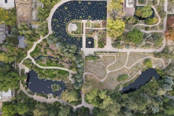 sky view of the botanic gardens, outdoor activities in denver, best things to do in denver colorado