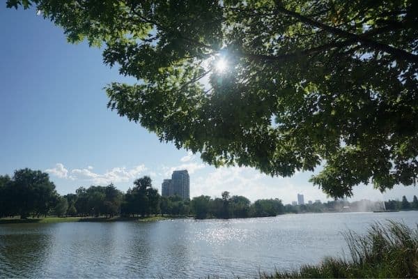 city park, sun shining through the trees, outdoor activities in denver, best things to do in denver colorado, things to do in denver, fun things to do in denver