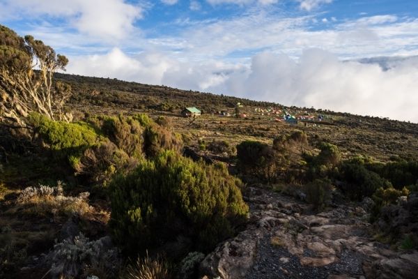 shira camp when climbing mount kilimanjaro, kilimanjaro location, kilimanjaro hike