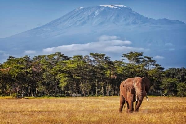 How to Climb Mount Kilimanjaro— Ultimate Guide + Tips