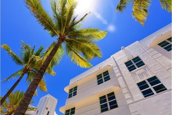 palm trees in south miami beach, best place to stay in miami, miami best neighborhoods