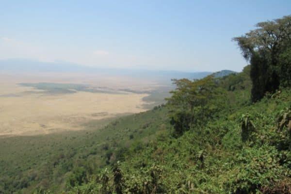 view at the start of machame route, kilimanjaro routes, hiking kilimanjaro, kilimanjaro treks